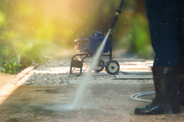 Best Solar Panel Cleaning  in Flanders, NJ